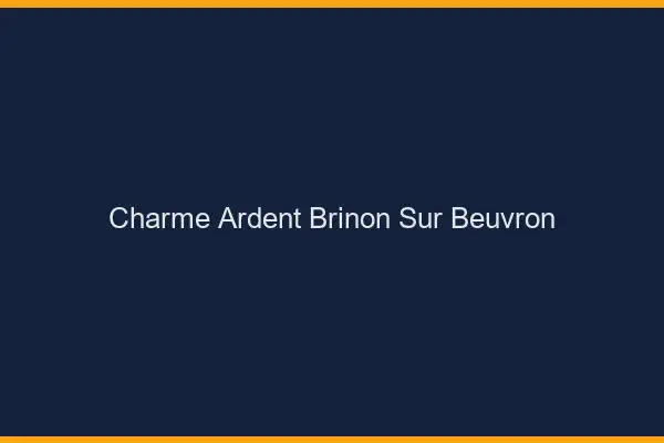 Charme Ardent Brinon-sur-Beuvron