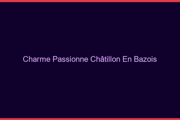Charme Passionné Châtillon-en-Bazois