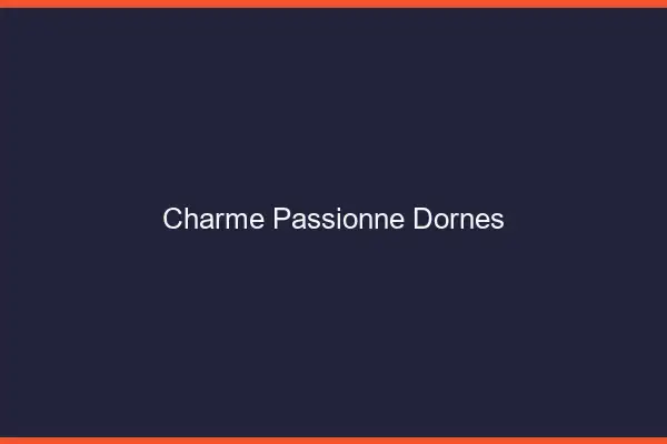 Charme Passionné Dornes