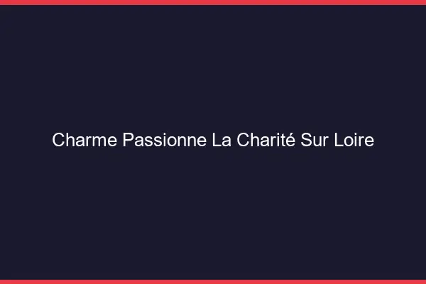 Charme Passionné La Charité-sur-Loire