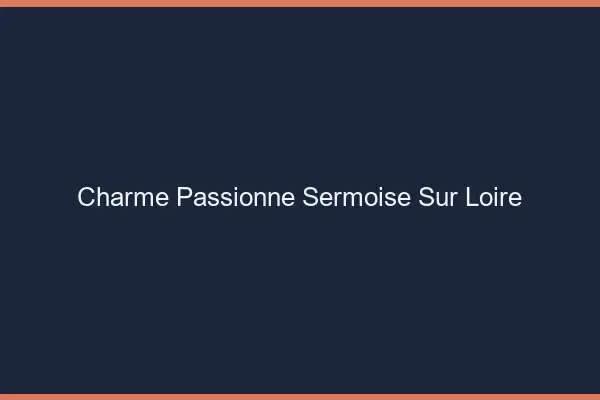 Charme Passionné Sermoise-sur-Loire