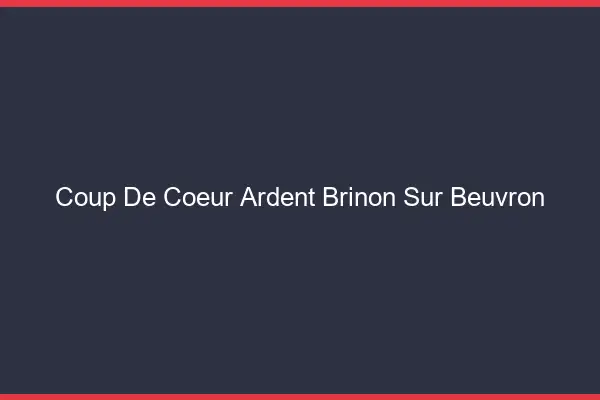 Coup de Cœur Ardent Brinon-sur-Beuvron