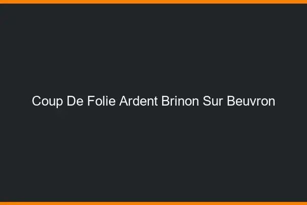 Coup de Folie Ardent Brinon-sur-Beuvron