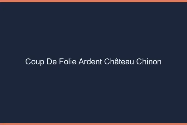 Coup de Folie Ardent Château-Chinon