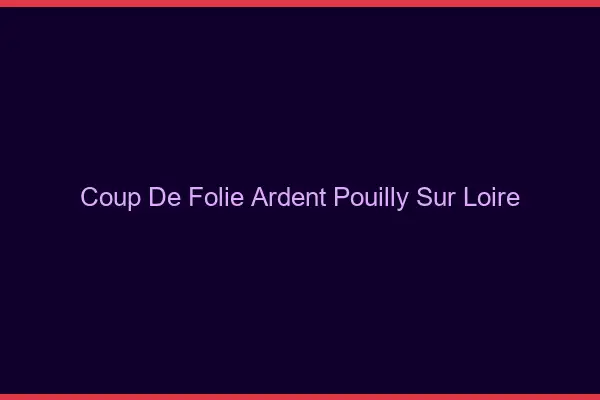 Coup de Folie Ardent Pouilly-sur-Loire