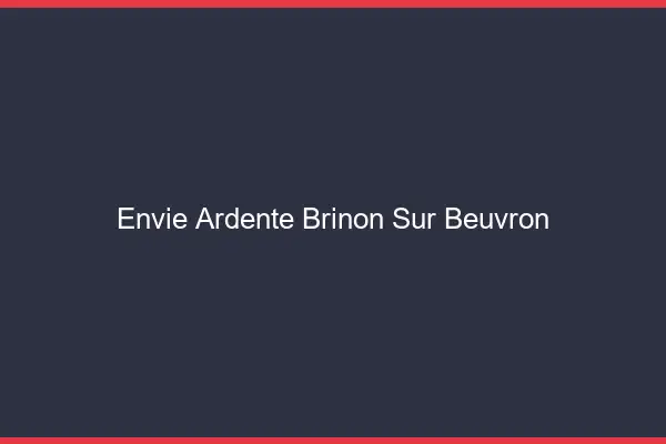 Envie Ardente Brinon-sur-Beuvron