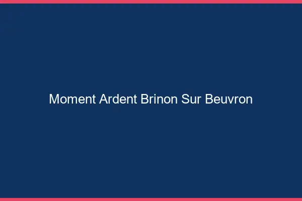 Moment Ardent Brinon-sur-Beuvron