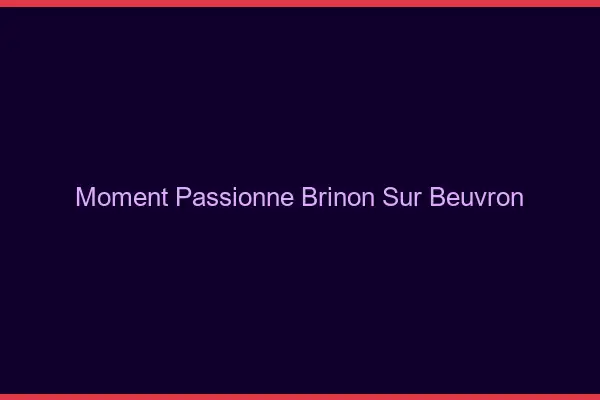 Moment Passionné Brinon-sur-Beuvron
