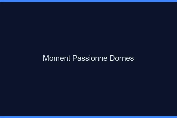 Moment Passionné Dornes