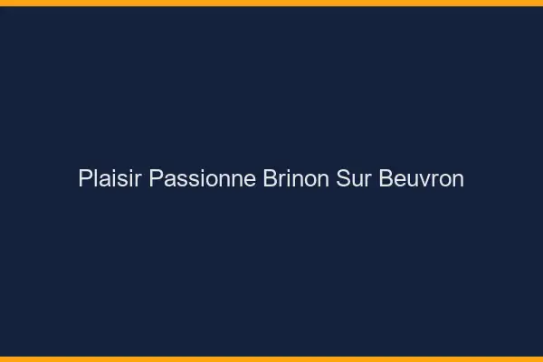 Plaisir Passionné Brinon-sur-Beuvron