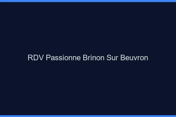 RDV Passionné Brinon-sur-Beuvron
